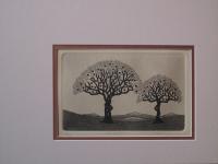   Perception      OUT OF PRINT