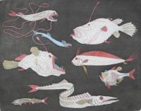     Deepsea Fish
