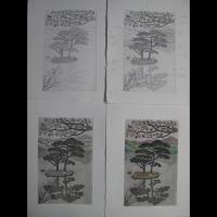 The process of a print