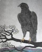 The Lookout   metal frame