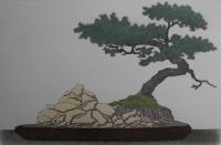 Juniper (Rock) Bonsai