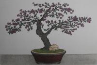     Flowering Bonsai