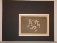 Night Flower    (OUT OF PRINT)