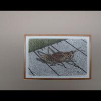     Zen Leaper  in OFF-SET mat